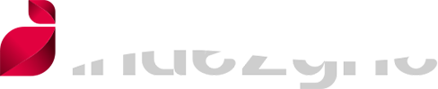 Indezyne Logo
